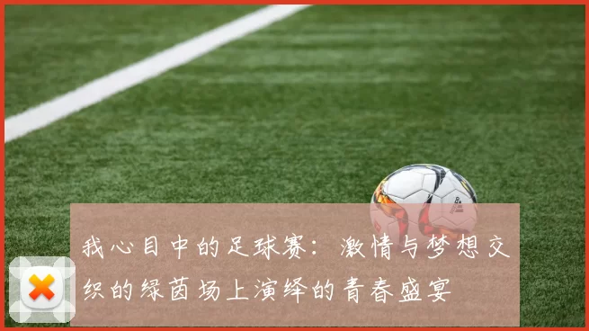 我心目中的足球赛：激情与梦想交织的绿茵场上演绎的青春盛宴