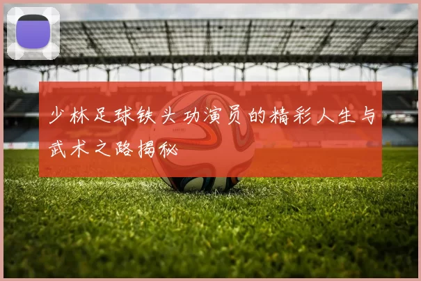 少林足球铁头功演员的精彩人生与武术之路揭秘