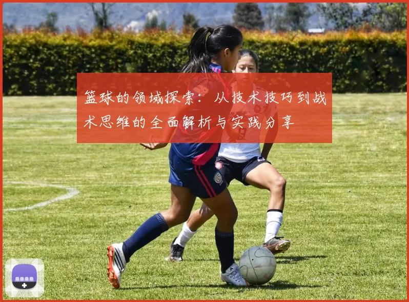 篮球的领域探索：从技术技巧到战术思维的全面解析与实践分享