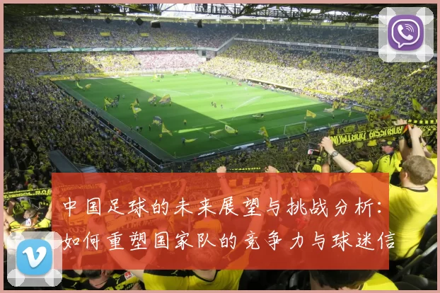 中国足球的未来展望与挑战分析：如何重塑国家队的竞争力与球迷信心